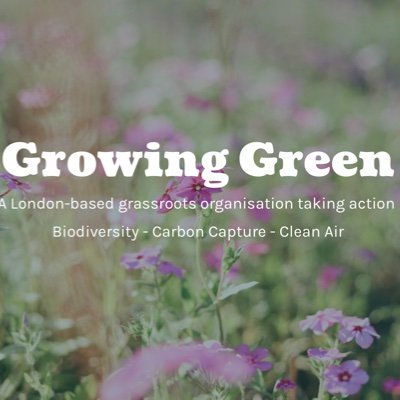 We wild urban spaces and connect people with nature.
Follow us for news about our planting projects in London & wider campaigns.
