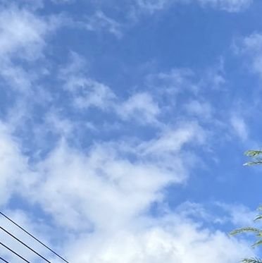 joyubusnix's profile picture. 