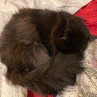 mrsfourzero (@mrsfourzero) 's Twitter Profile