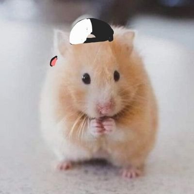 코미새さんのプロフィール画像