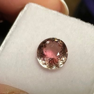 nezumisuki19nn's profile picture. 伯母を探しています。 固定ポスト拡散希望です。お返事ゆっくりです🙇‍♀️ラットとチンチラとうさぎとデグー飼ってます🐁 こはるちゃん21.7.26🌈シロちゃん22.3.4🌈 無言フォローすみません🙏スパム即通報ブロック。光复香港时代革命。新疆集中营。