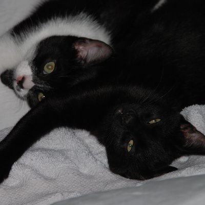 32A1Petc's profile picture. Gemini-Cancer Cusp says it all ✨💖💛💙✨WEEeeeeee...