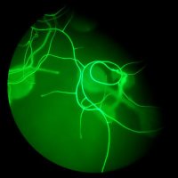Marion Clavel (@marionclavel4) 's Twitter Profile Photo Marion Clavel (@marionclavel4) 's Twitter Profile Photo