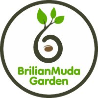 brilianmuda garden(@Brilianmuda2) 's Twitter Profile Photo
