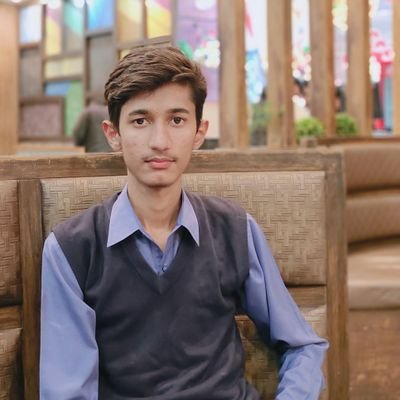 Zubair Akhtar Meo is an Internet Personality, renowned Google Verified Entrepreneur and Spotify Verified Artist. He was born on Nov 20,2003