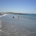 Matthew Wines - @matthewwines7 - Twitter