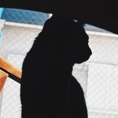 fridayさんのプロフィール画像