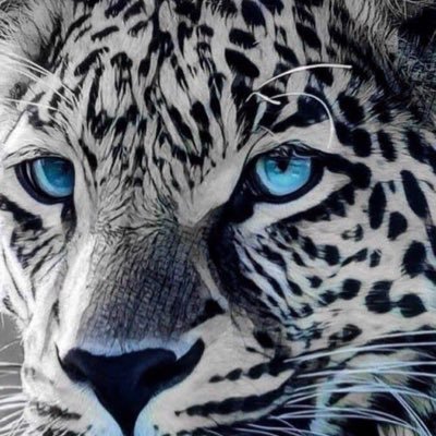 اطمح ان اكون افضل من نفسى ..... (سابقا)
