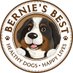 Bernie's Best (@BerniesBest) Twitter profile photo