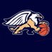 Greater Lowell Tech Boys Basketball (@gltbball) Twitter profile photo