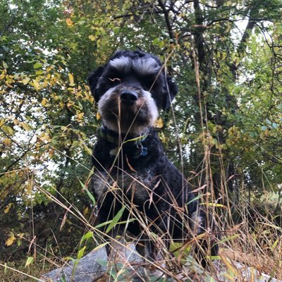 HarrietD428's profile picture. 