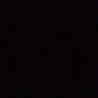mysoace (@mysoace1) 's Twitter Profile
