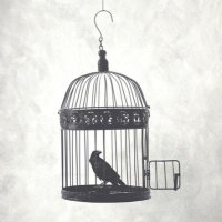 Cynthia Chung (@cynthia_rising) 's Twitter Profile