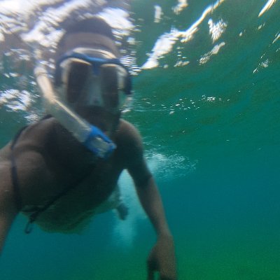 Marine Science | Lover of the Sea | PhD @Umaine & @sea_the_people | @wascalclimate Alunmi #GodFirst #sharks #climatechange