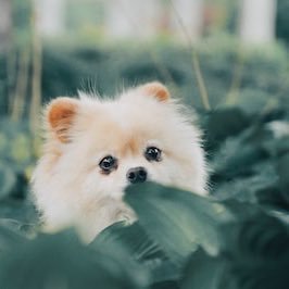 Kika5655751220's profile picture. 