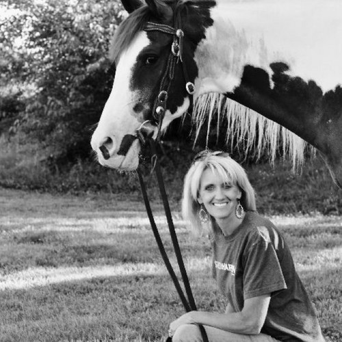 Horsebabe29's profile picture. 