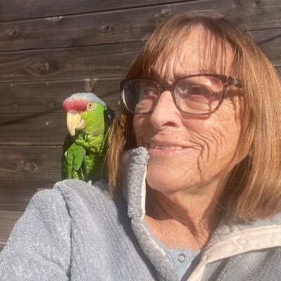 Retired middle school teacher. Respect and fairness! Love animals. Raising my trans great grandson.  💙No DMs.