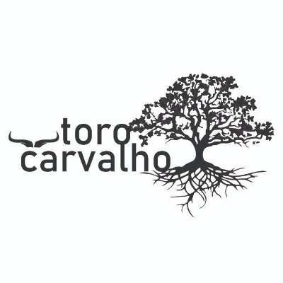 torocarvalho Profile Picture