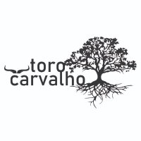 @ToroCarvalho(@torocarvalho) 's Twitter Profile Photo