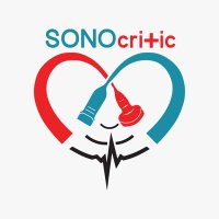 SonoCritic(@SonoCritic) 's Twitter Profile Photo