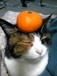 AnF4cty's profile picture. 音楽とゲームが好きです

Talk Less Do More

Eat - Sleep - GW's and crypto trade - Repeat