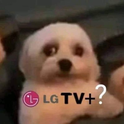 gelyibarrac's profile picture. 