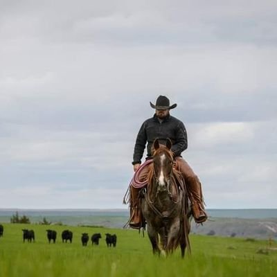 tate_cowan's profile picture. 