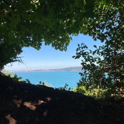 rundle_philippa's profile picture. Mum, NHS nurse since 2009, feminist, raver when I can. Pro EU, anti fascist pro choice. views are my own.