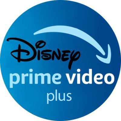 DisneyPrimePlus Profile Picture