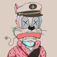 NotAnNftCollector💊 (@notnftcollector) 's Twitter Profile