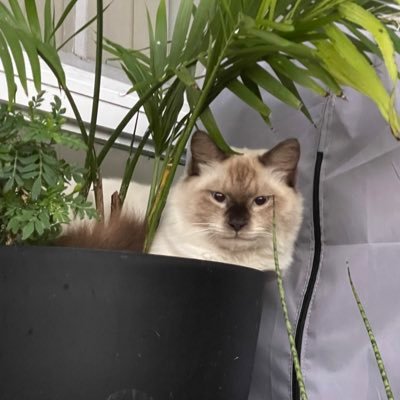 diamondgirlvigi's profile picture. ❤️💋