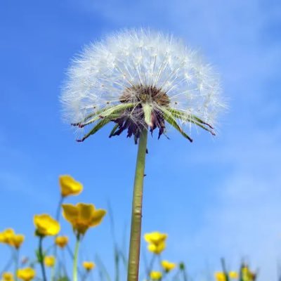Trying to find and enjoy the beauty in life