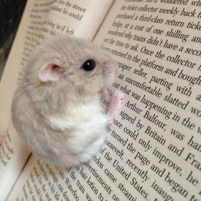 Melody21344's profile picture. she / her
💫depressed,stressed lemon zest💫

Just an average person without Hobbies or sense of humour
( naruto, ft, bnha, fate zero sick fan)