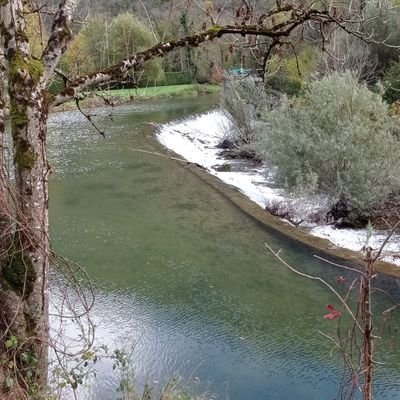 Nurettin_Ekici_'s profile picture. 🇹🇷🟢