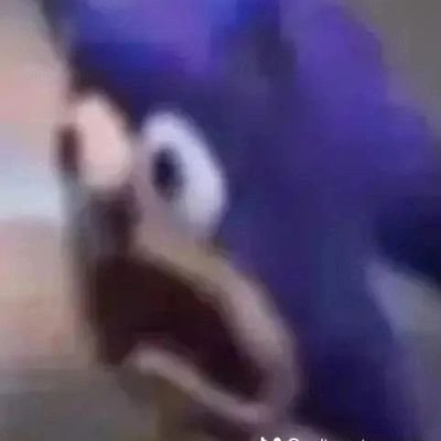 BobaPigeonDrink's profile picture. 