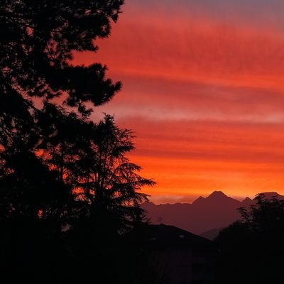 ELManar13's profile picture. 