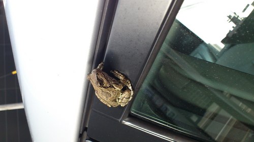 yuka_tsuchiya's profile picture. 