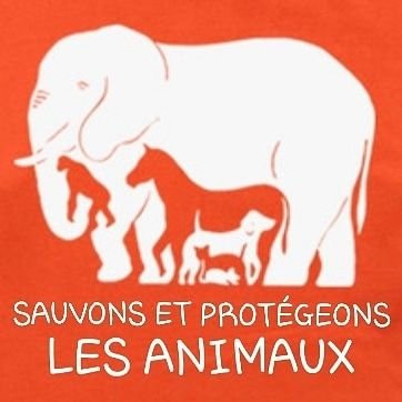 ''C'est parce que les animaux ne causent pas qu'il faut plaider leur cause.'' - Szczepan Yamenski
Inscrivez-vous pour le RIP 👇