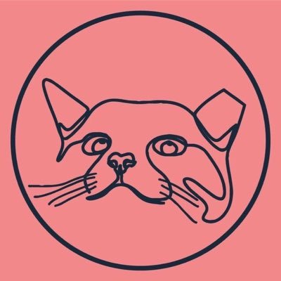▪️Protetores de gatos ▪️Insta: @sos.felino ▪️Pix: sosfelino1@gmail.com