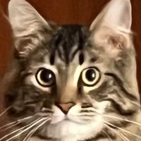 ๐๐ผFascists ๐บ๐ธ ๐ฆ
๐ ๐บ๐ฆ ๐ซMAGA ๐ซCamGirls (@fascists_gop) 's Twitter Profile Photo ๐๐ผFascists ๐บ๐ธ ๐ฆ
๐ ๐บ๐ฆ ๐ซMAGA ๐ซCamGirls (@fascists_gop) 's Twitter Profile Photo
