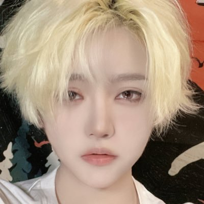 XiNaixi Profile Picture