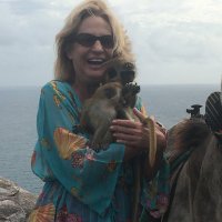 Lisa Frazier (@fra01953236lisa) 's Twitter Profile