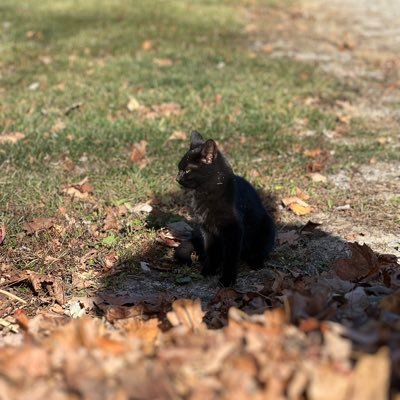 EvaEgan17's profile picture. Sharing ways to make money easy