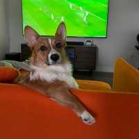 cacho (@cacho_swe) 's Twitter Profile