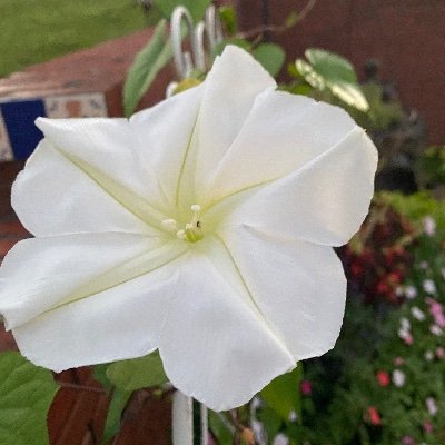 karenDsews's profile picture. 