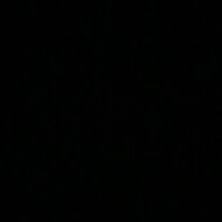 T. Tran (@t_tran13) 's Twitter Profile