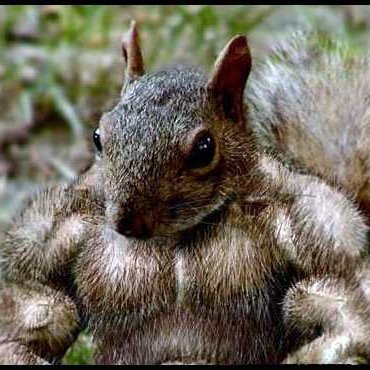 fschlappack's profile picture. Buddhistischer Ossi mit satirischer Ader, der nicht an die Wiedergeburt glaubt.