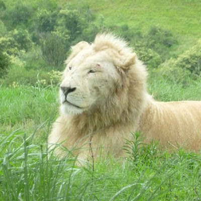 colin_hulley's profile picture. 