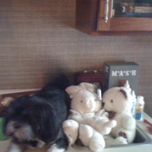 Changmook's profile picture. 