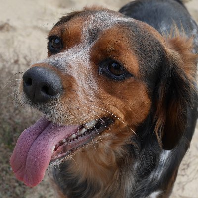 Dudimash's profile picture. 